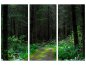 Preview: Leinwandbild 3-teilig Wilder Wald