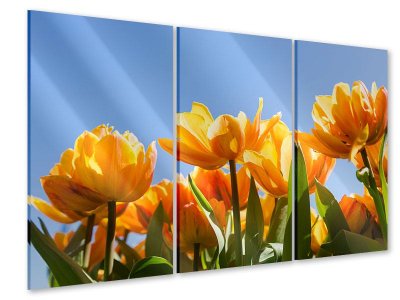 Acrylglasbild 3-teilig Märchenhafte Tulpen